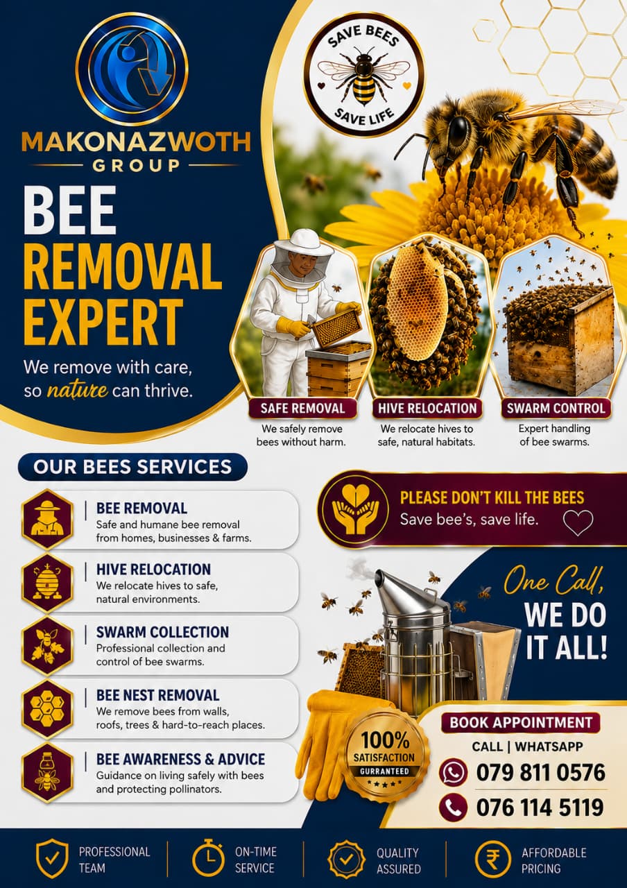 Bee Removal Services